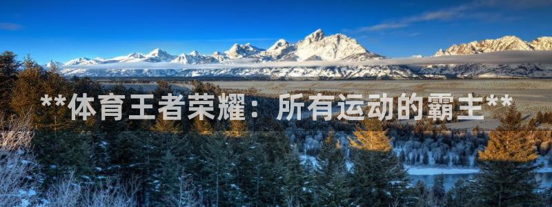 星娱乐文化传媒有限公司