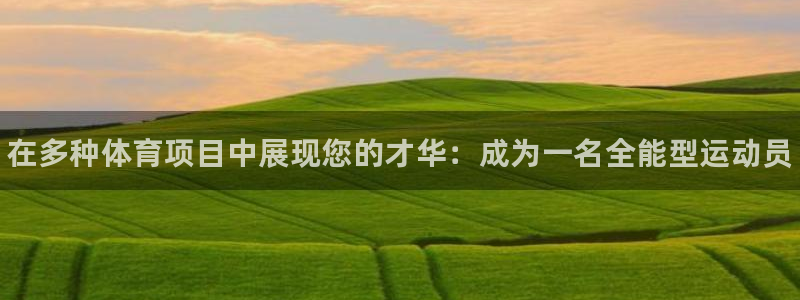 星欧娱乐平台怎么样啊可靠吗