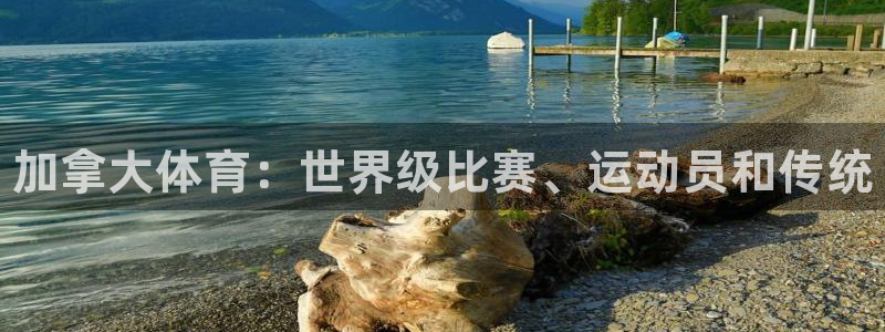 星欧娱乐平台道7O777