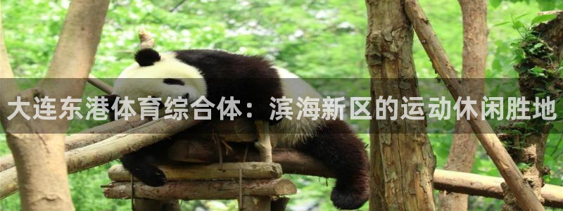 星欧娱乐属于什么档次的网站