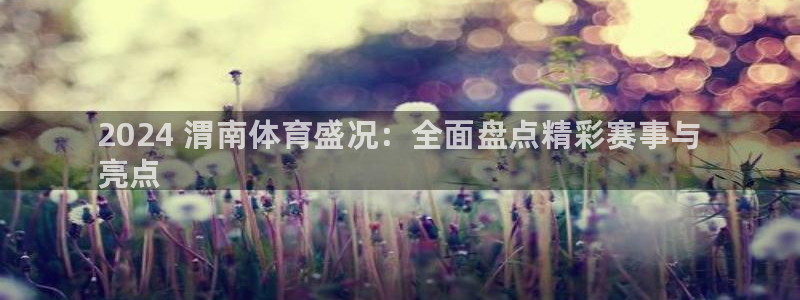 星澳娱乐公司简介