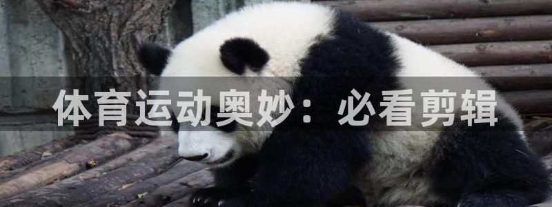 星欧娱乐扣费后解决方法