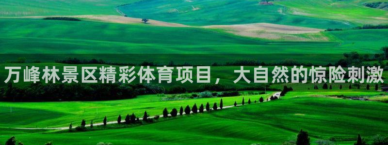 星奥娱乐集团股份有限公司