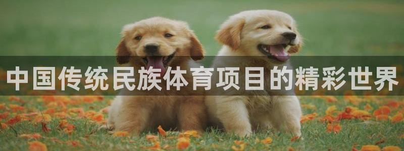 星欧娱乐挂机赚钱软件