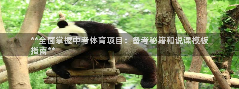 星欧娱乐属于什么档次的公司