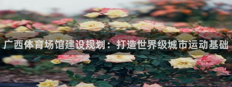 星奥娱乐待遇怎么样