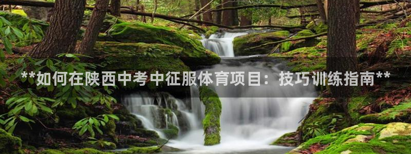 星欧娱乐公司怎么样