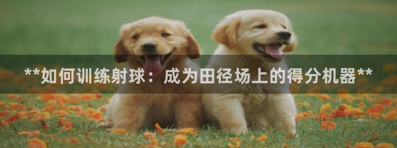 星欧娱乐属于什么档次