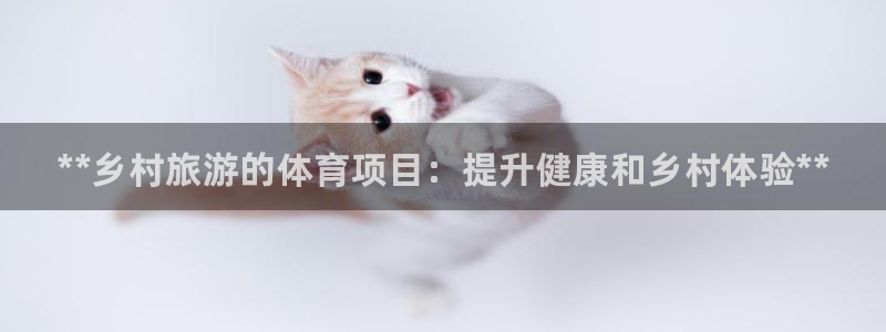 星欧娱乐的创始人背景故事介绍