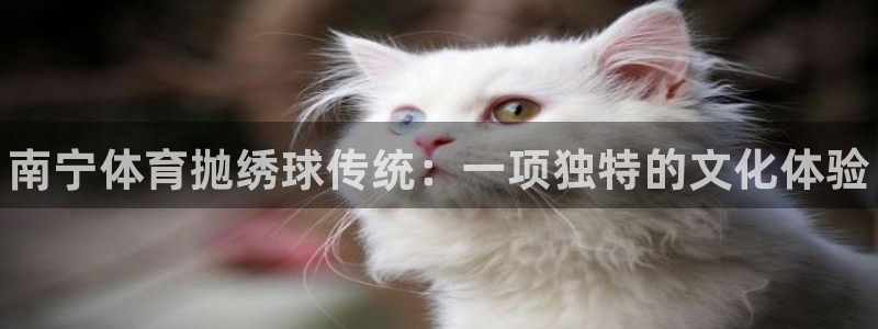 星奥娱乐集团怎么样