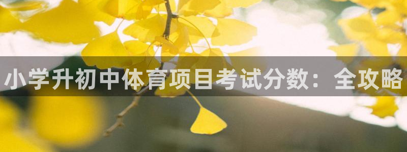 星欧娱乐官网下载安装