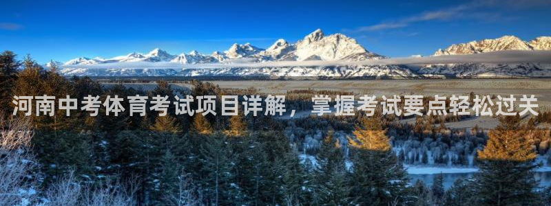 星娱乐包月业务是什么