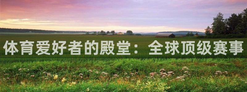 星欧娱乐公司创始人背景故事是什么