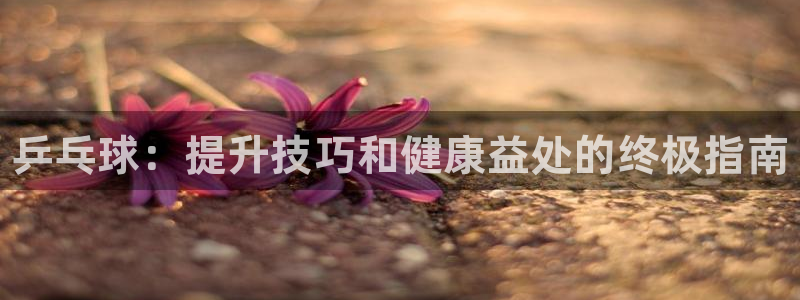 星奥盛典娱乐会所