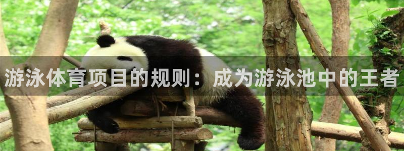 星欧娱乐测速软件下载