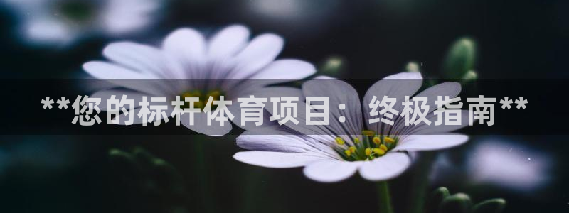 星欧娱乐扣款时间查询方法