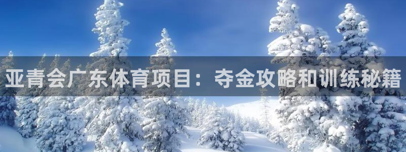 星欧娱乐平台测速线路