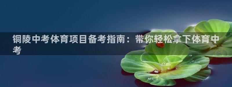 星欧娱乐银行卡怎么登录